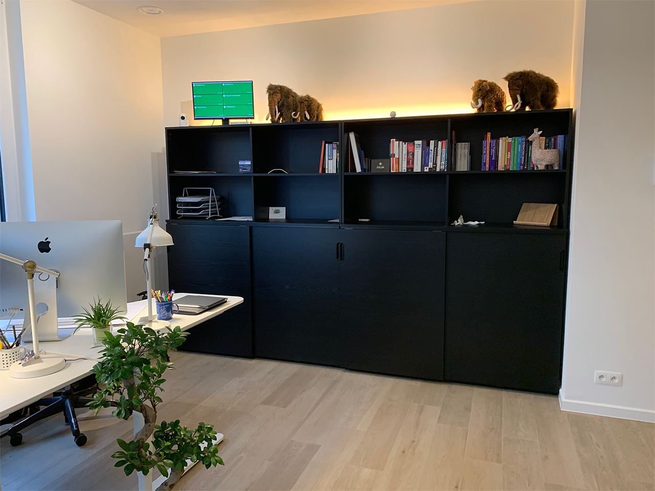 Coding Mammoth office