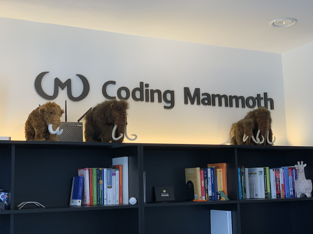Coding Mammoth office