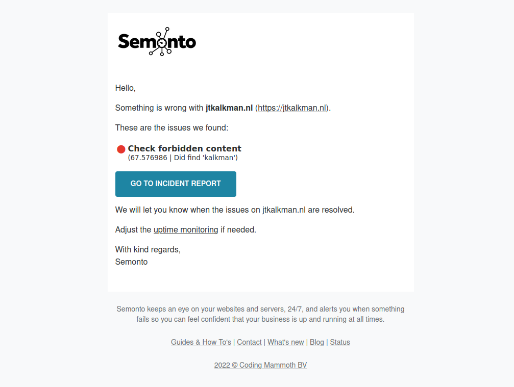 The default email header in Semonto